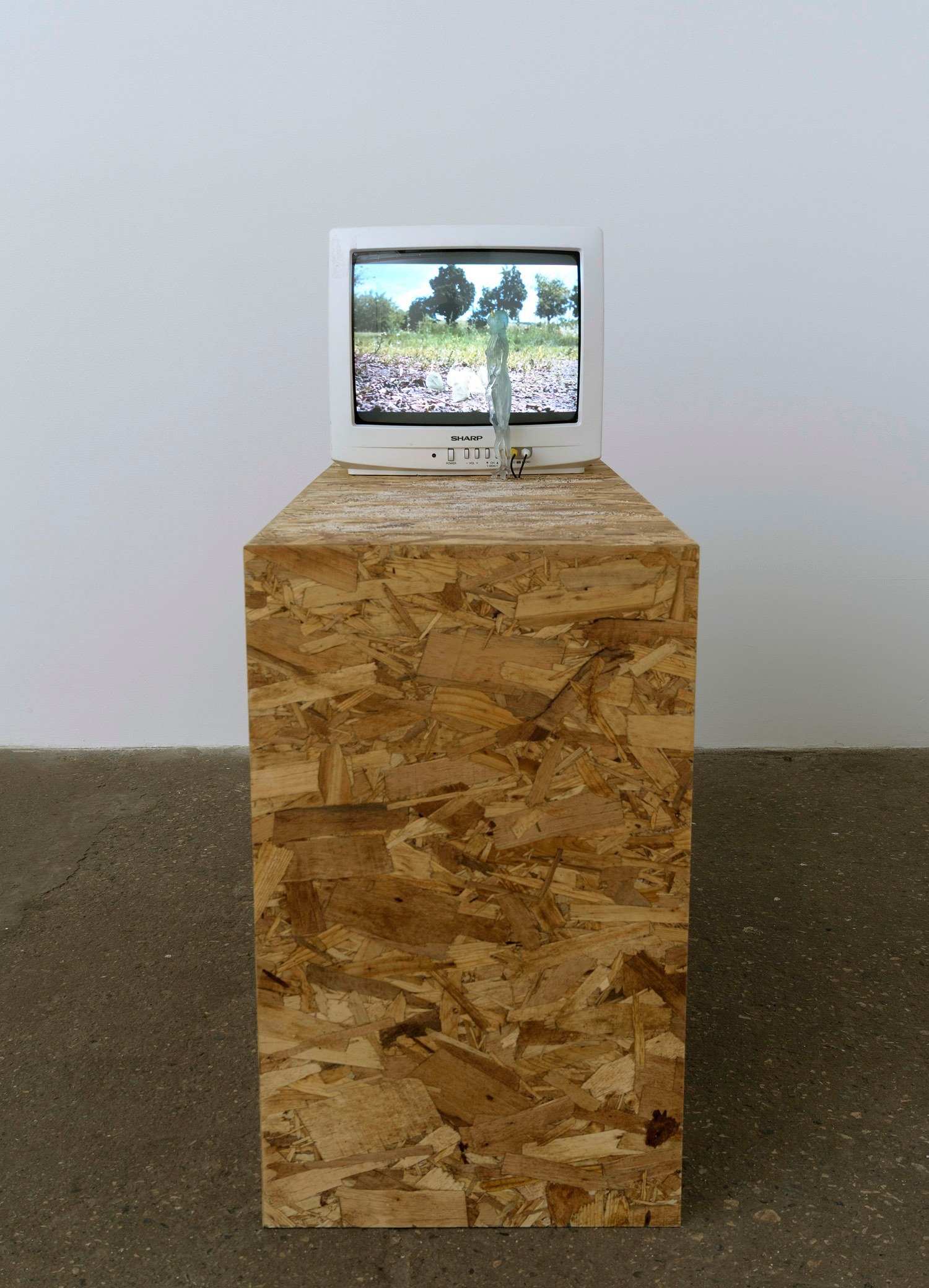 Sam Anderson, Michel Auder, Robert Bordo, Untitled at Bortolami, photo 13