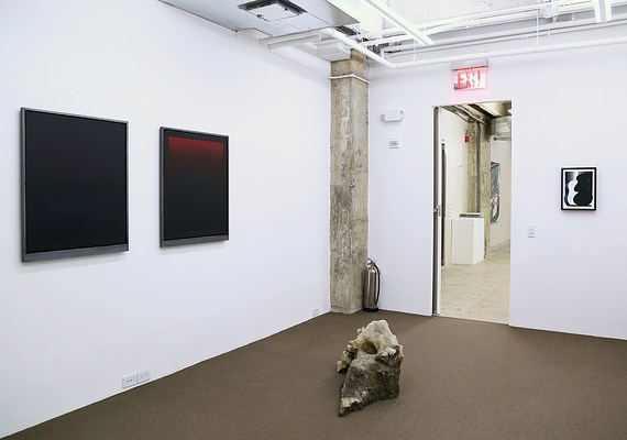 Image 7 of 22