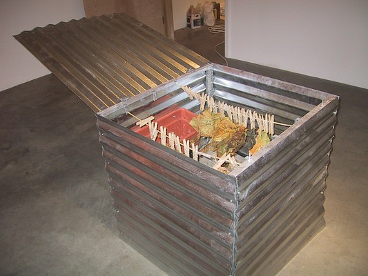 Image 7 of 21