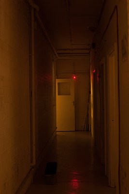 Image 53 of 98