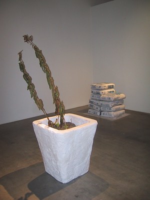 Image 11 of 21