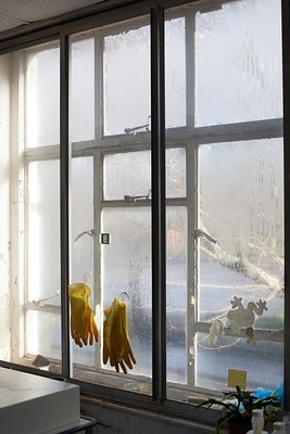 Image 75 of 98