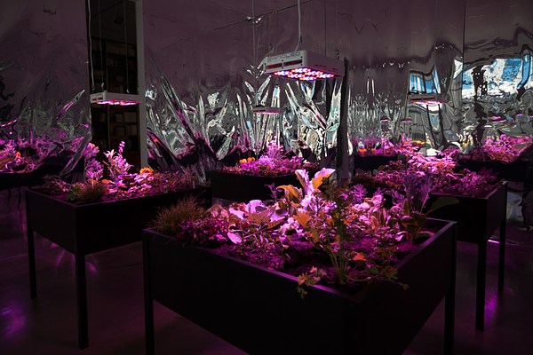 Image 2 of 15