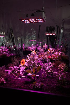 Image 6 of 15