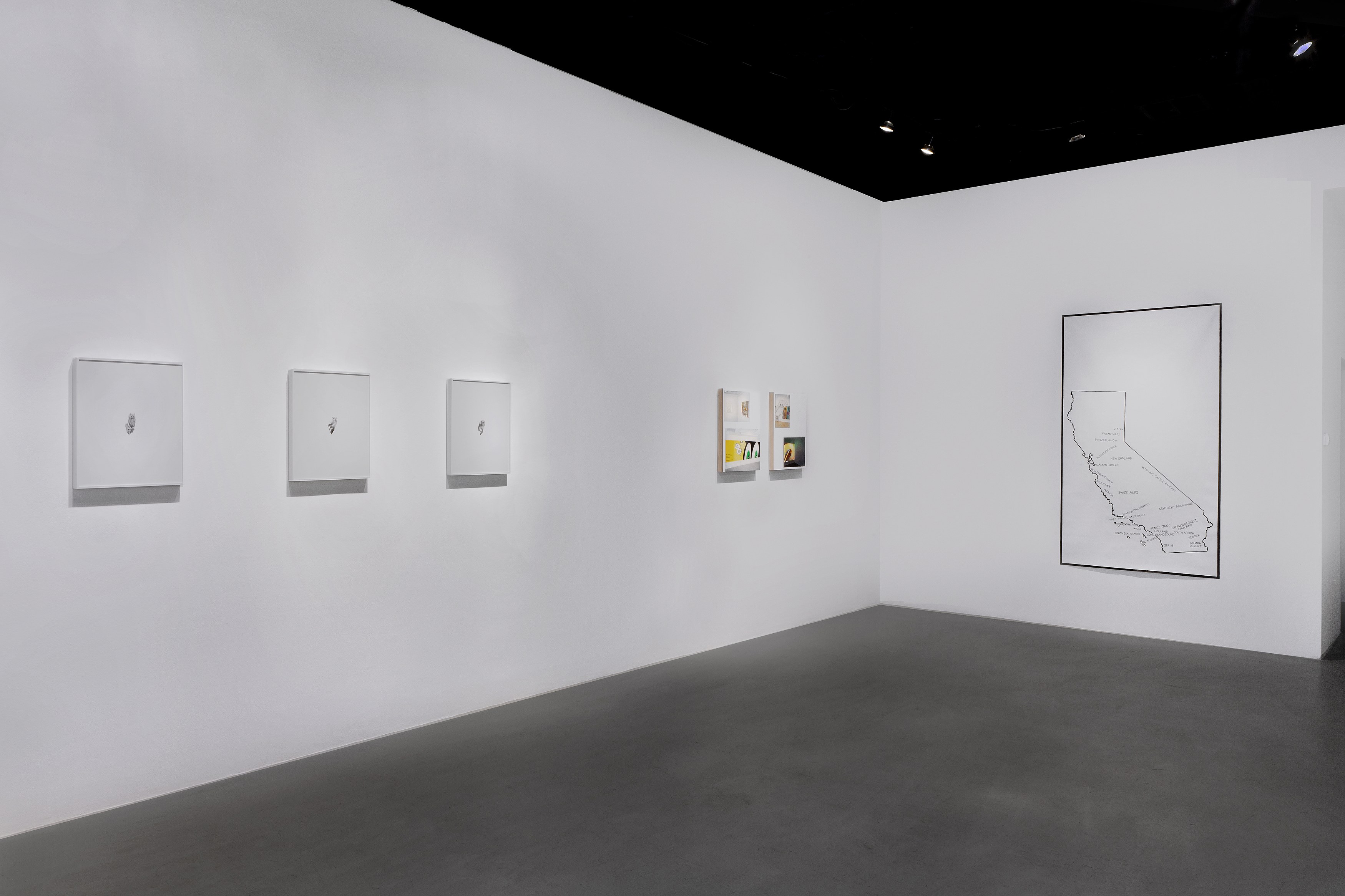 Station Identification, Station Identification at Michael Benevento Gallery, photo 2