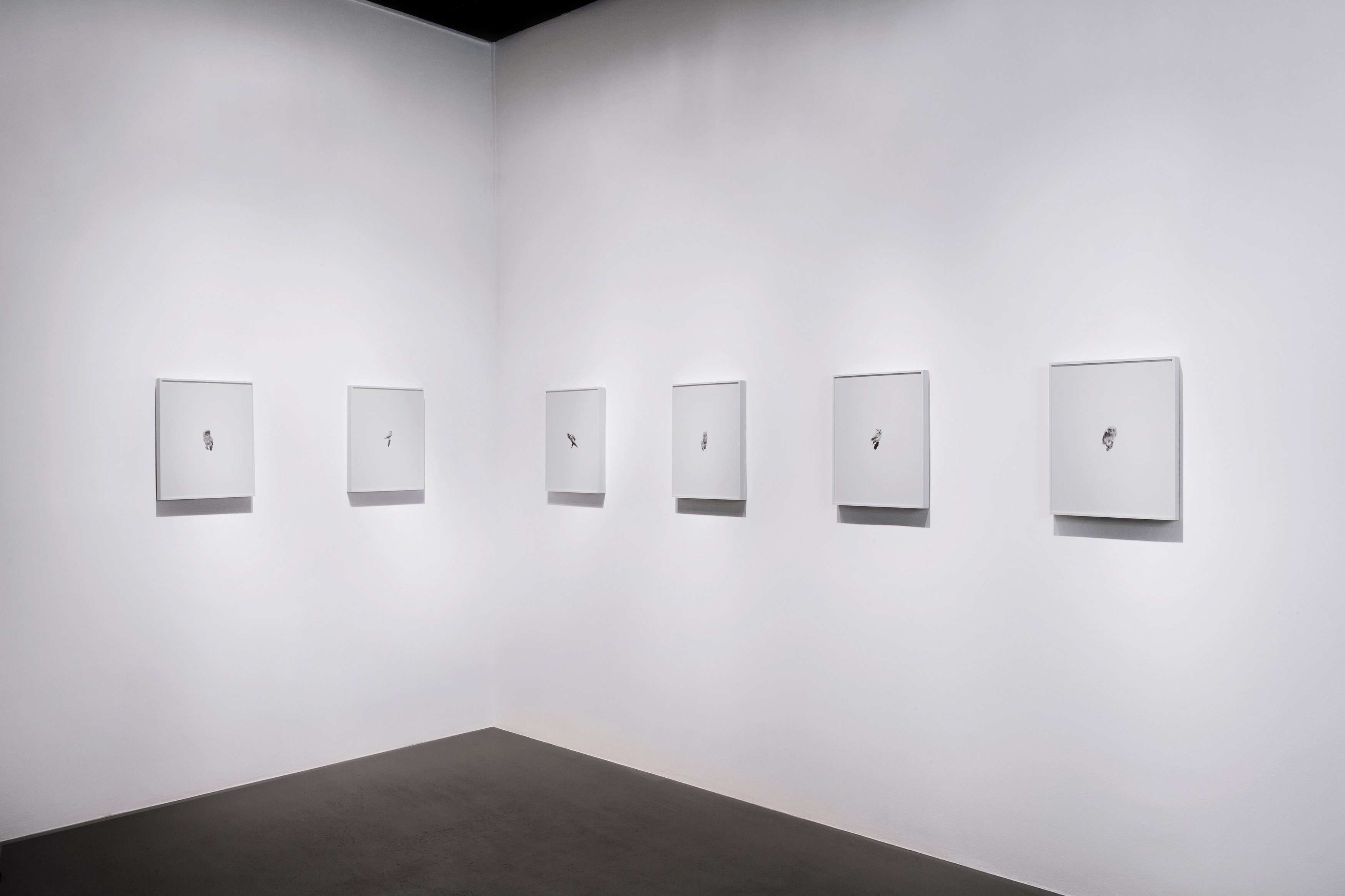Station Identification, Station Identification at Michael Benevento Gallery, photo 4