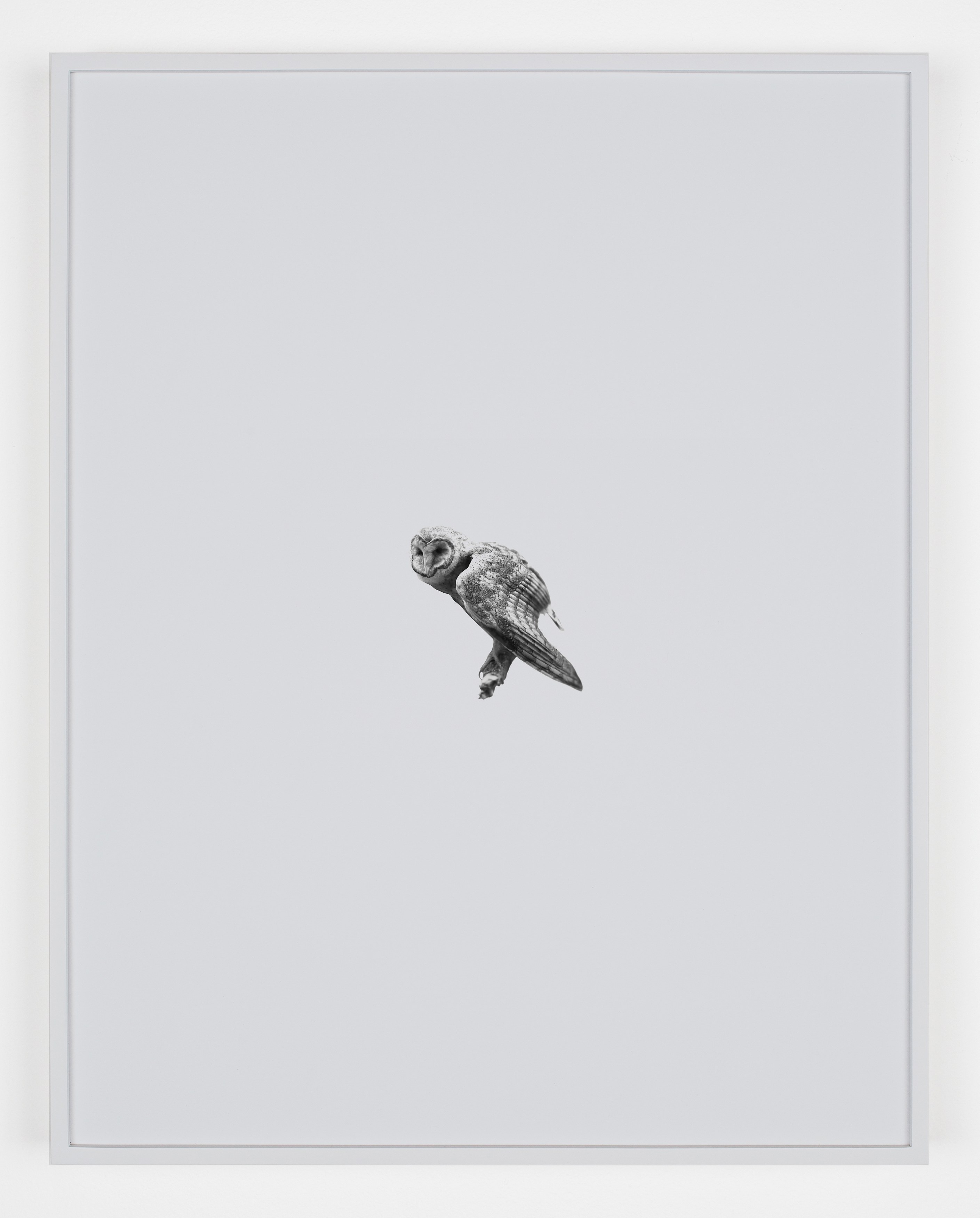 Station Identification, Station Identification at Michael Benevento Gallery, photo 7