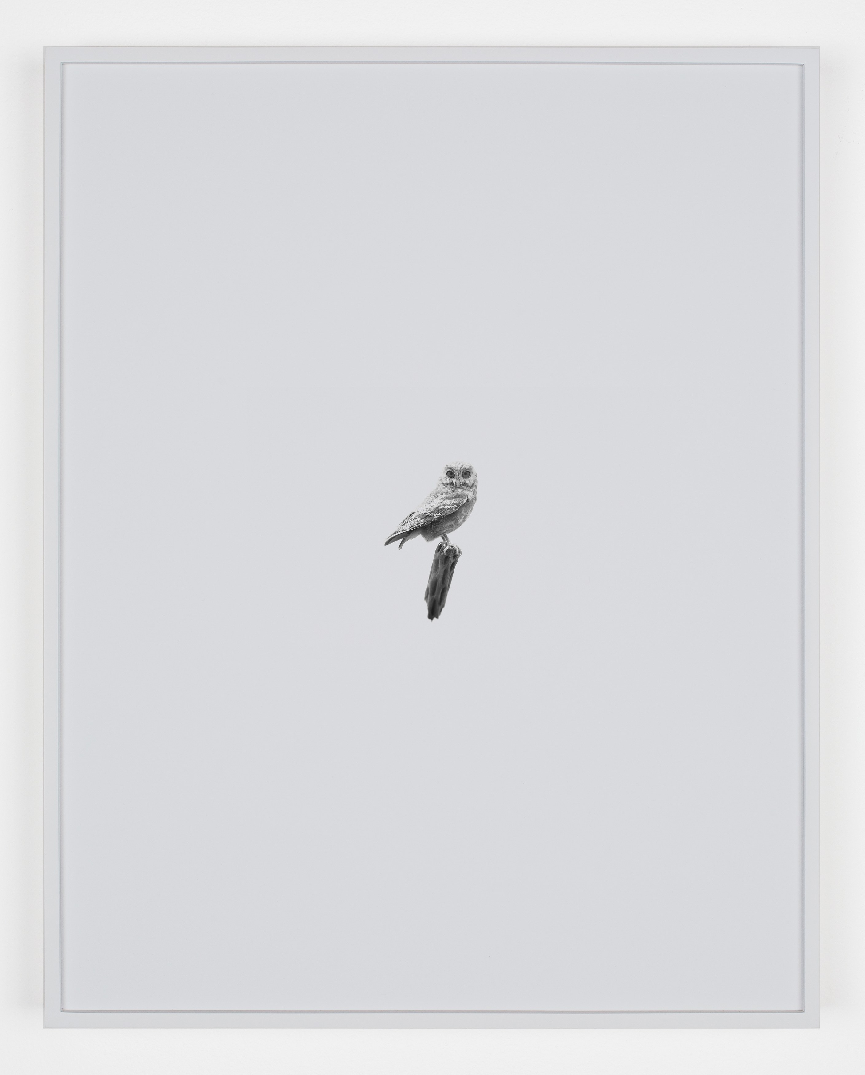 Station Identification, Station Identification at Michael Benevento Gallery, photo 8