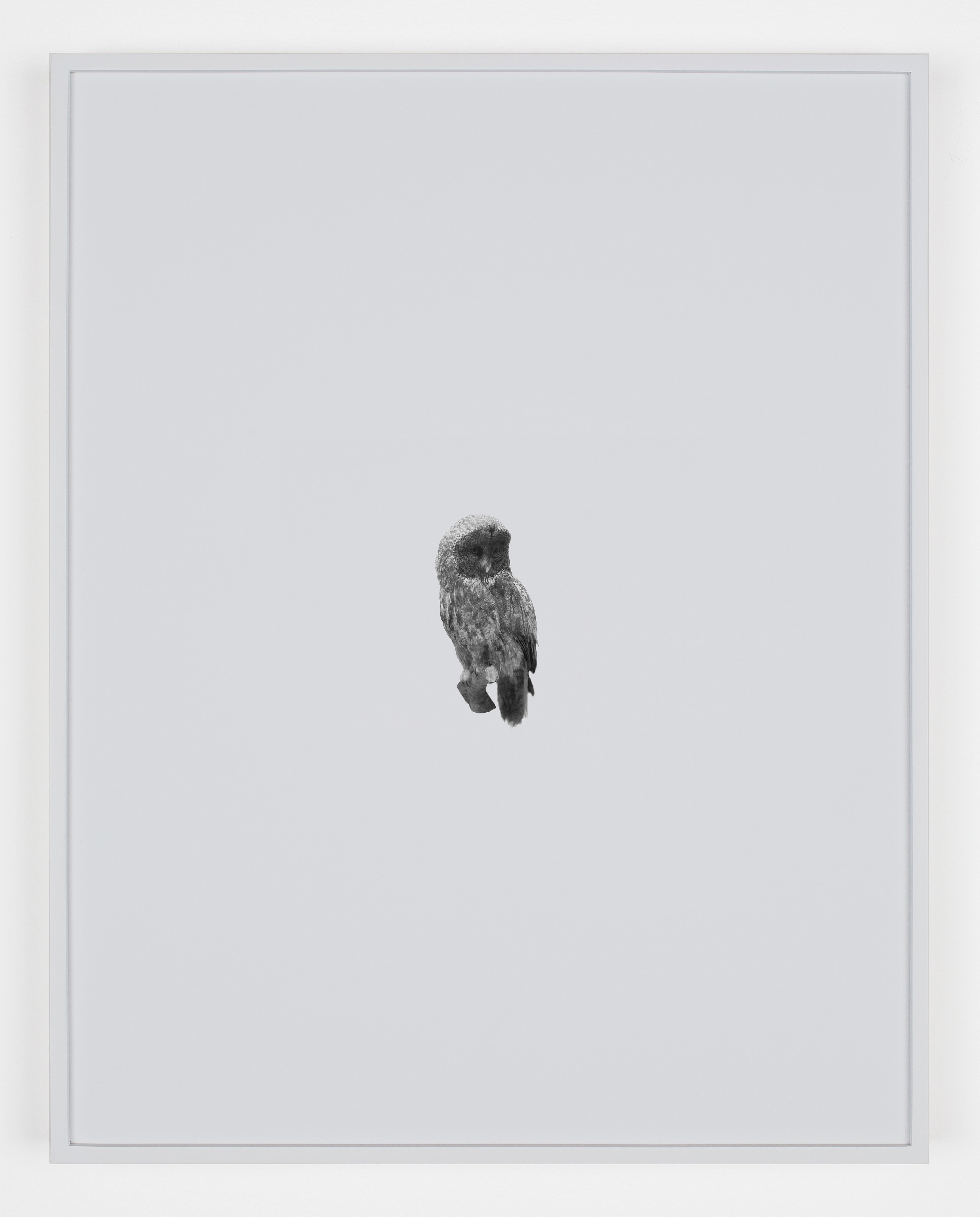 Station Identification, Station Identification at Michael Benevento Gallery, photo 9