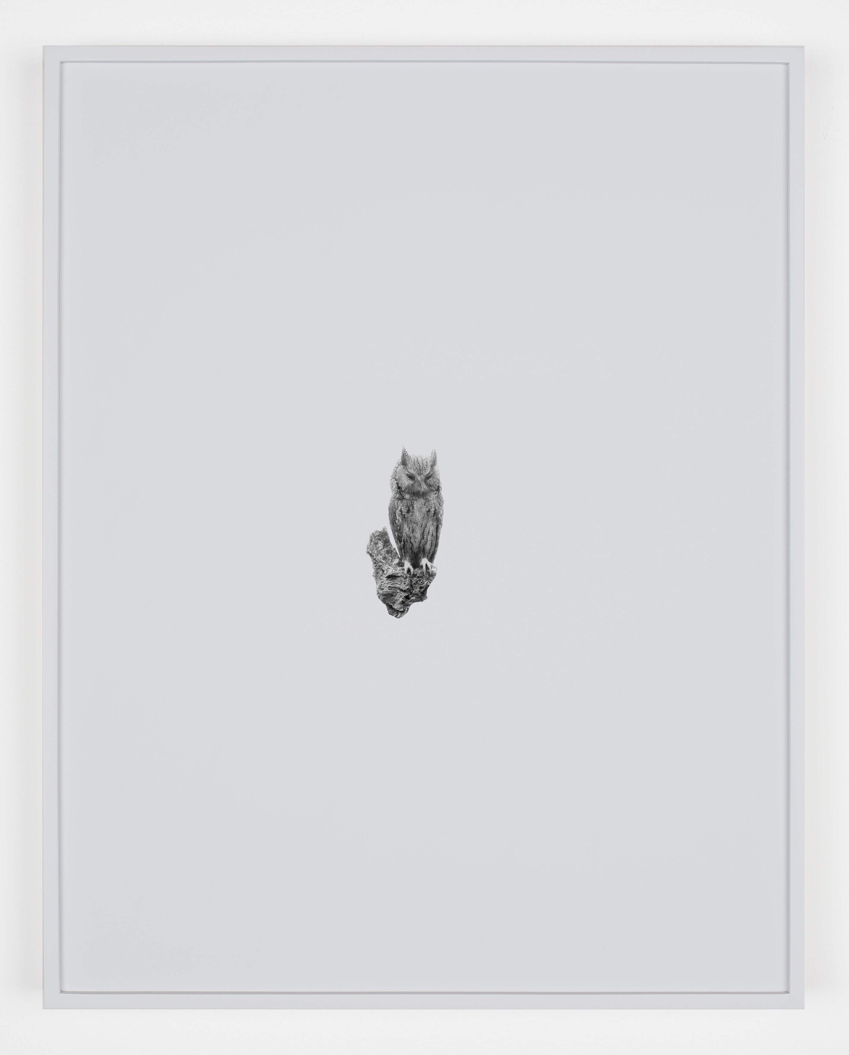 Station Identification, Station Identification at Michael Benevento Gallery, photo 10