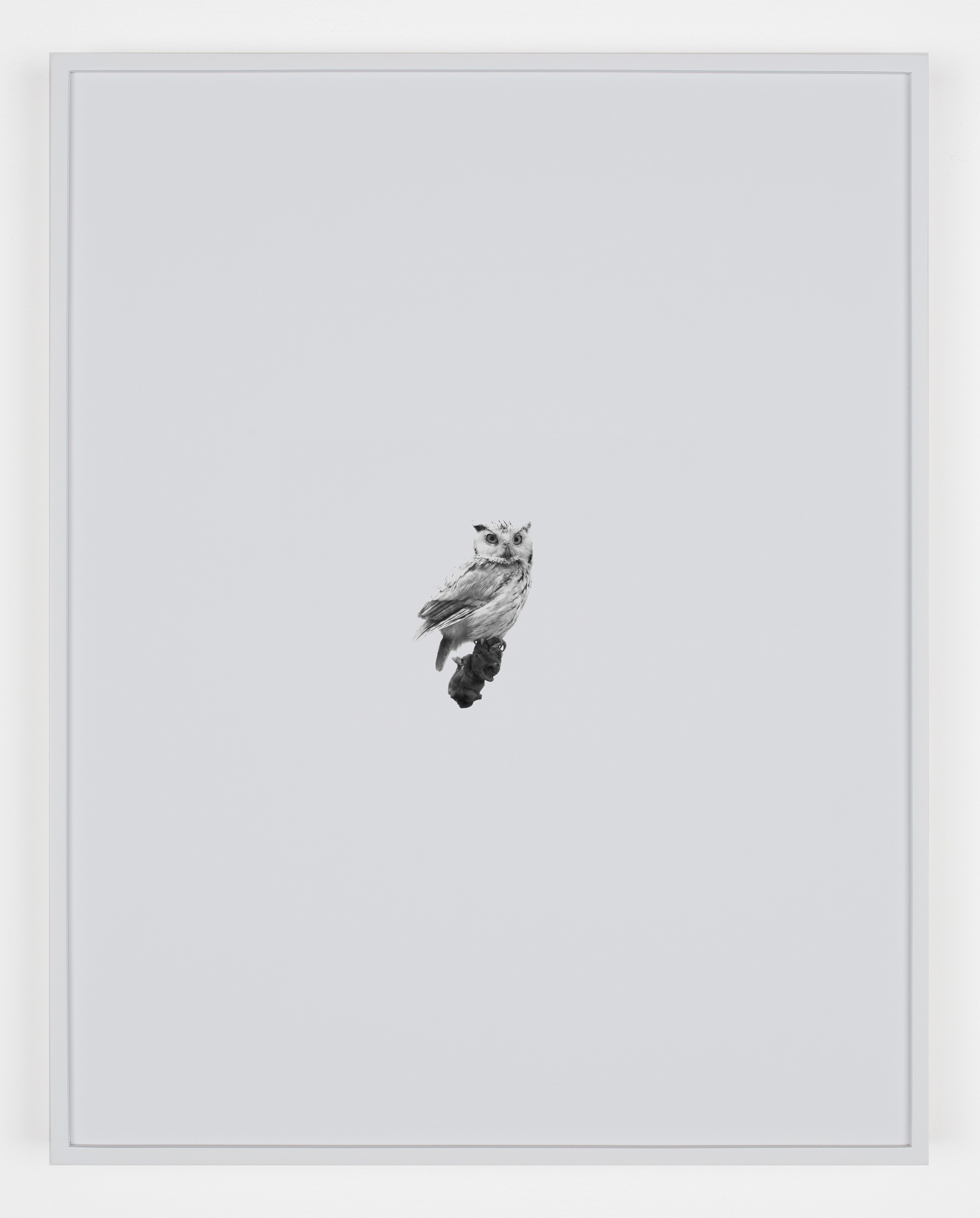 Station Identification, Station Identification at Michael Benevento Gallery, photo 11
