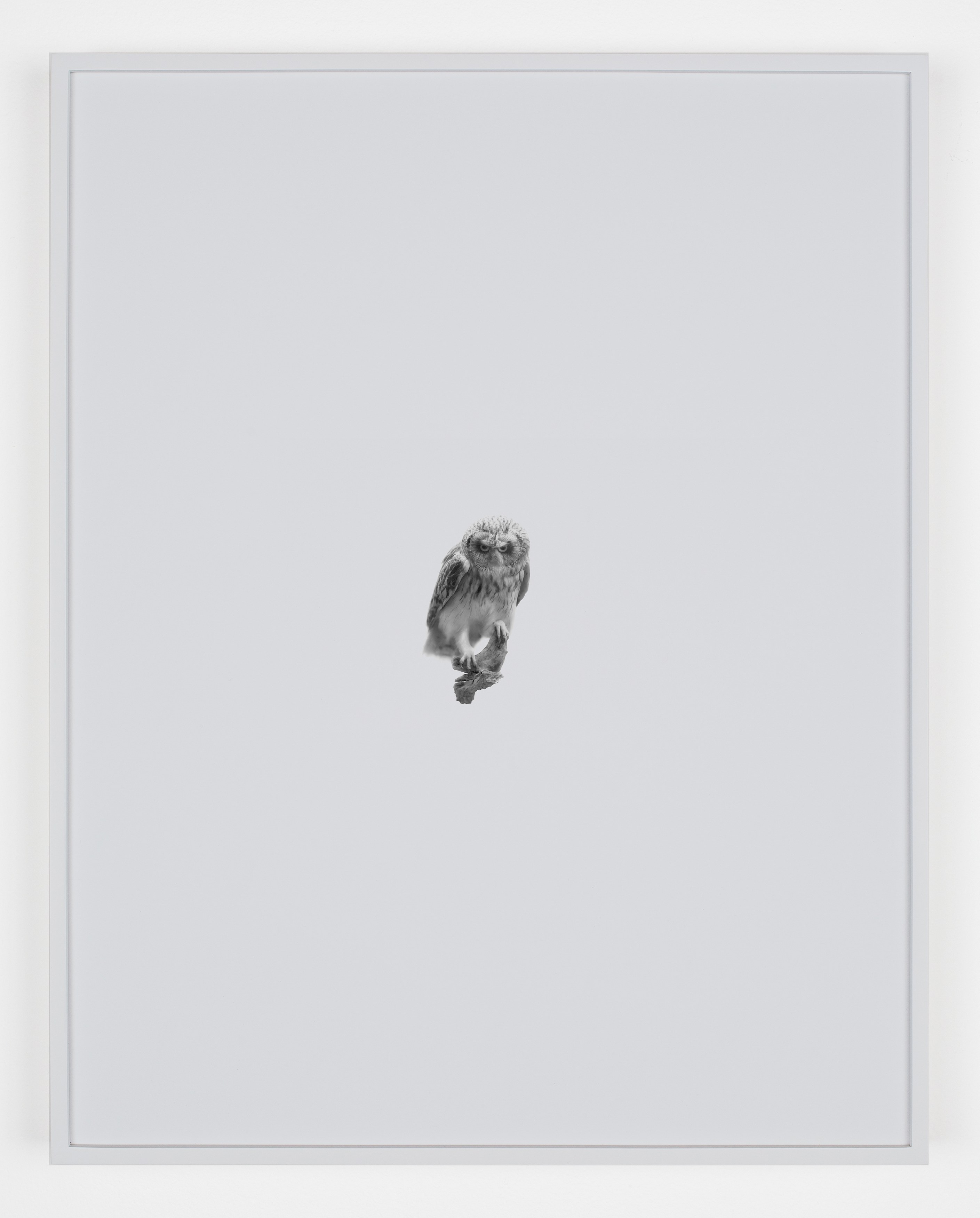 Station Identification, Station Identification at Michael Benevento Gallery, photo 12