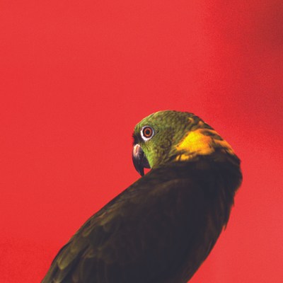 Image 15 of 26