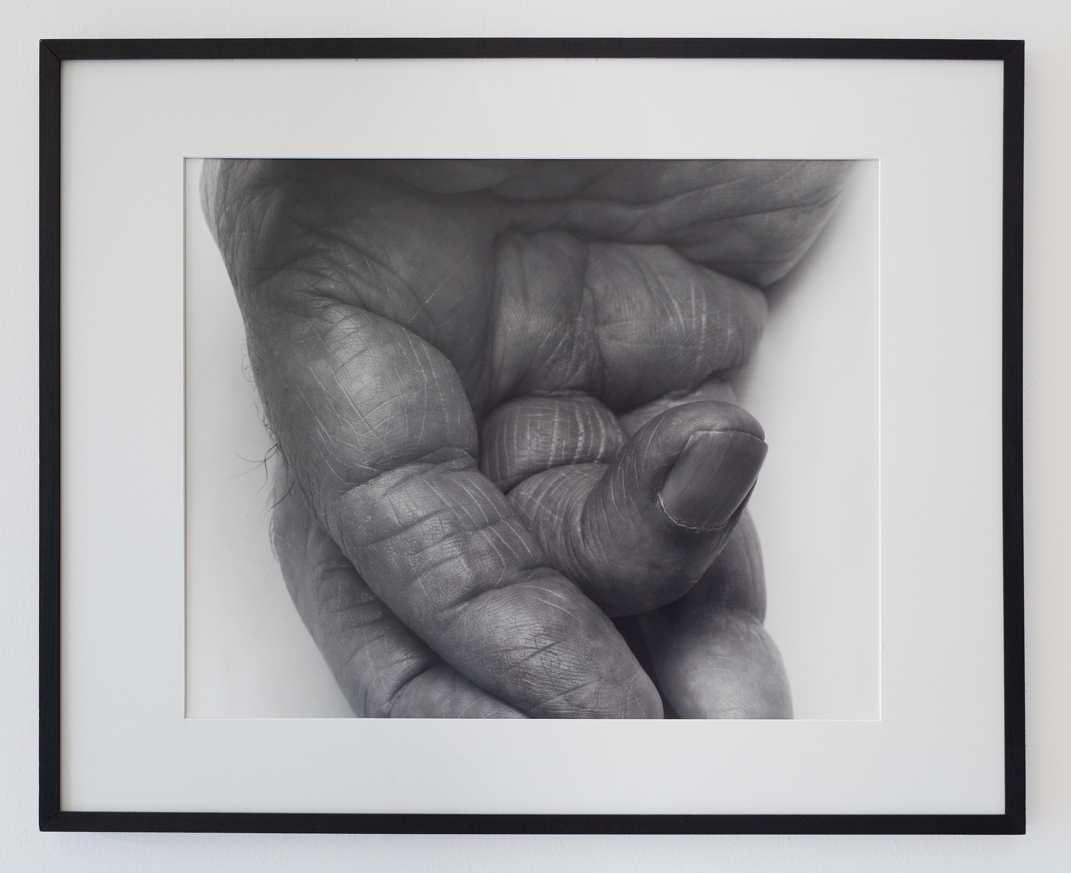 Station Identification, Station Identification at Michael Benevento Gallery, photo 17