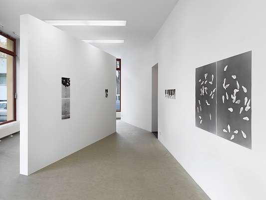 Image 1 of 10