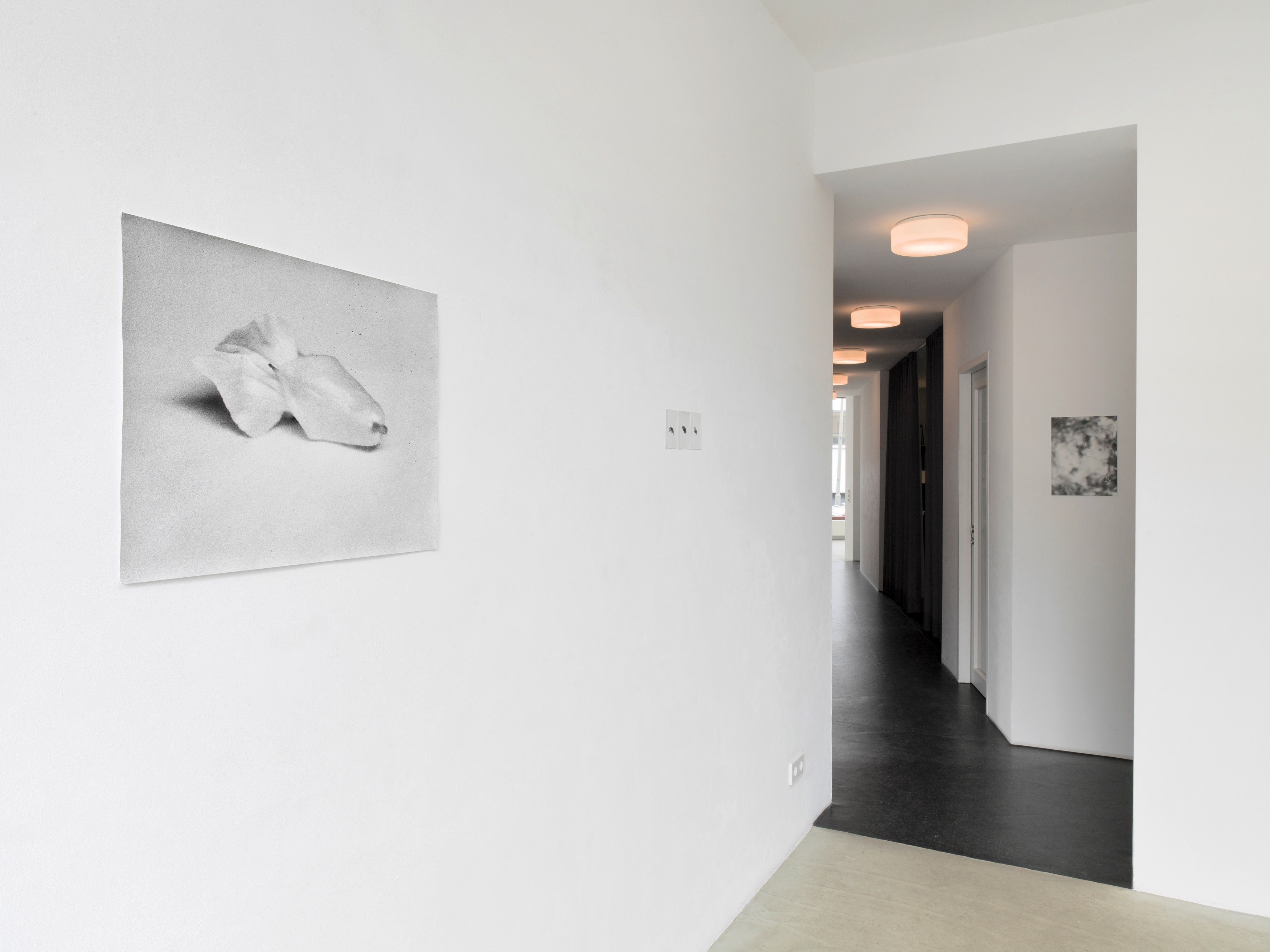 Jochen Lempert, Jochen Lempert at BQ, photo 3