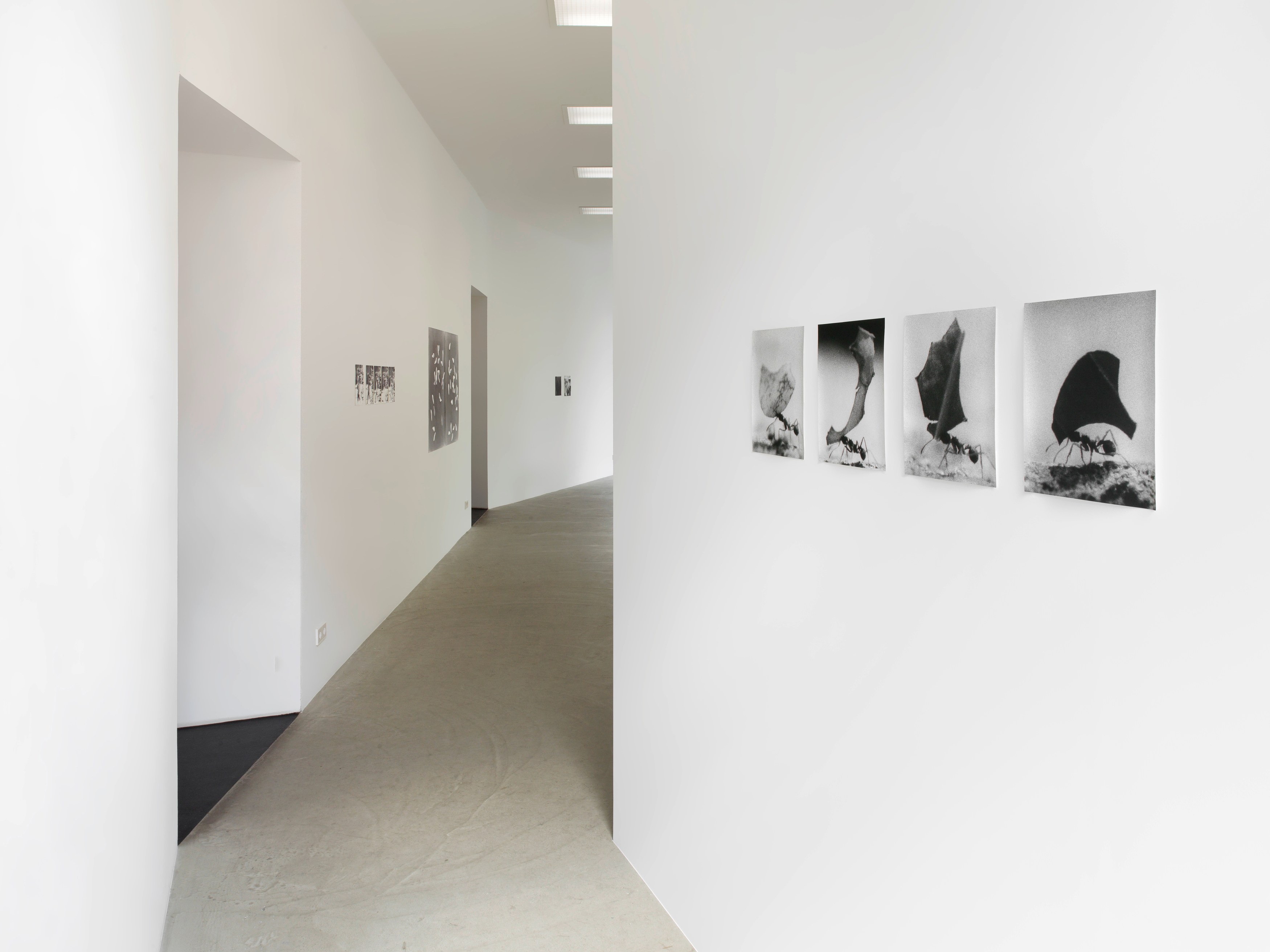 Jochen Lempert, Jochen Lempert at BQ, photo 4