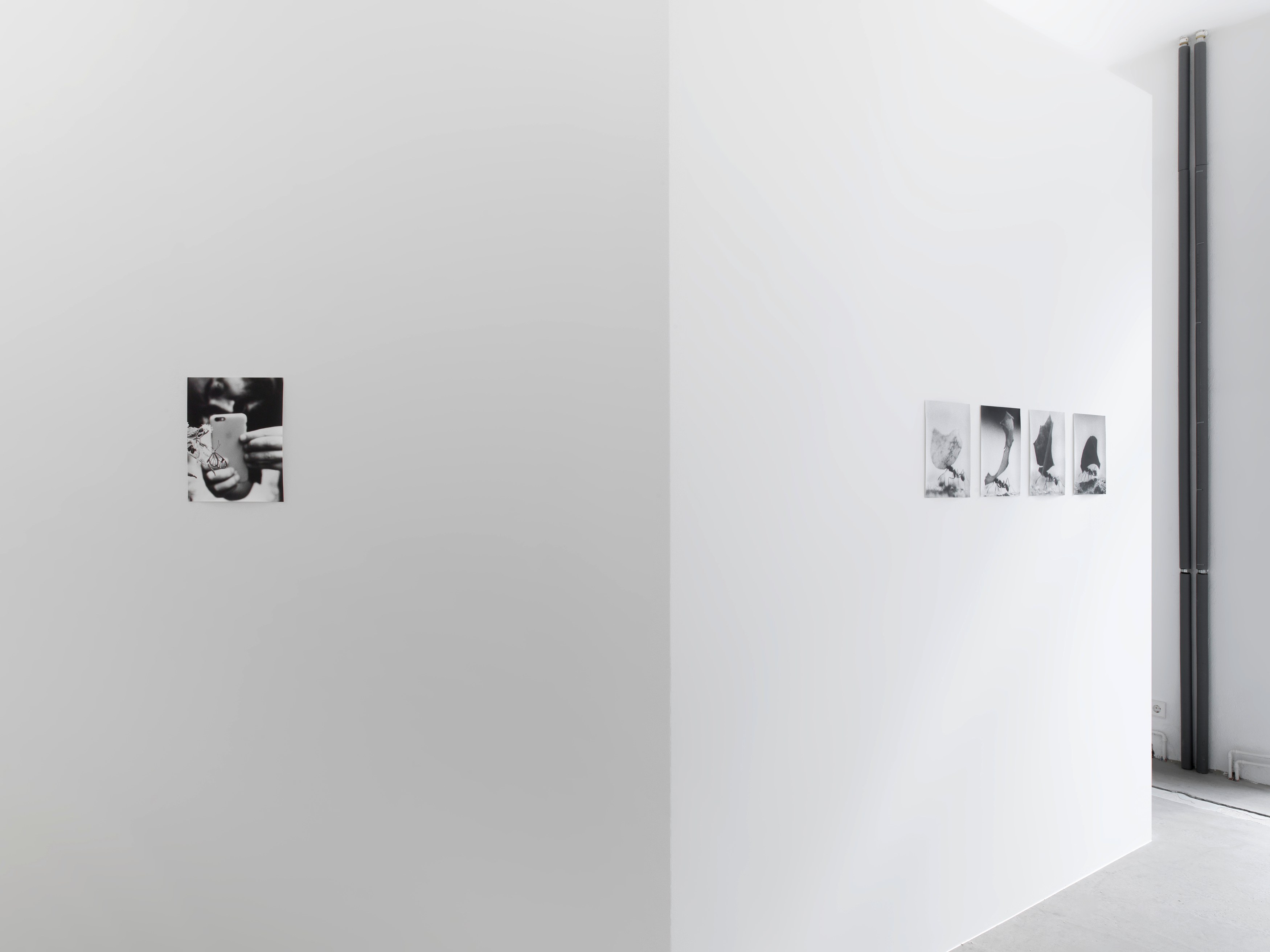Jochen Lempert, Jochen Lempert at BQ, photo 6