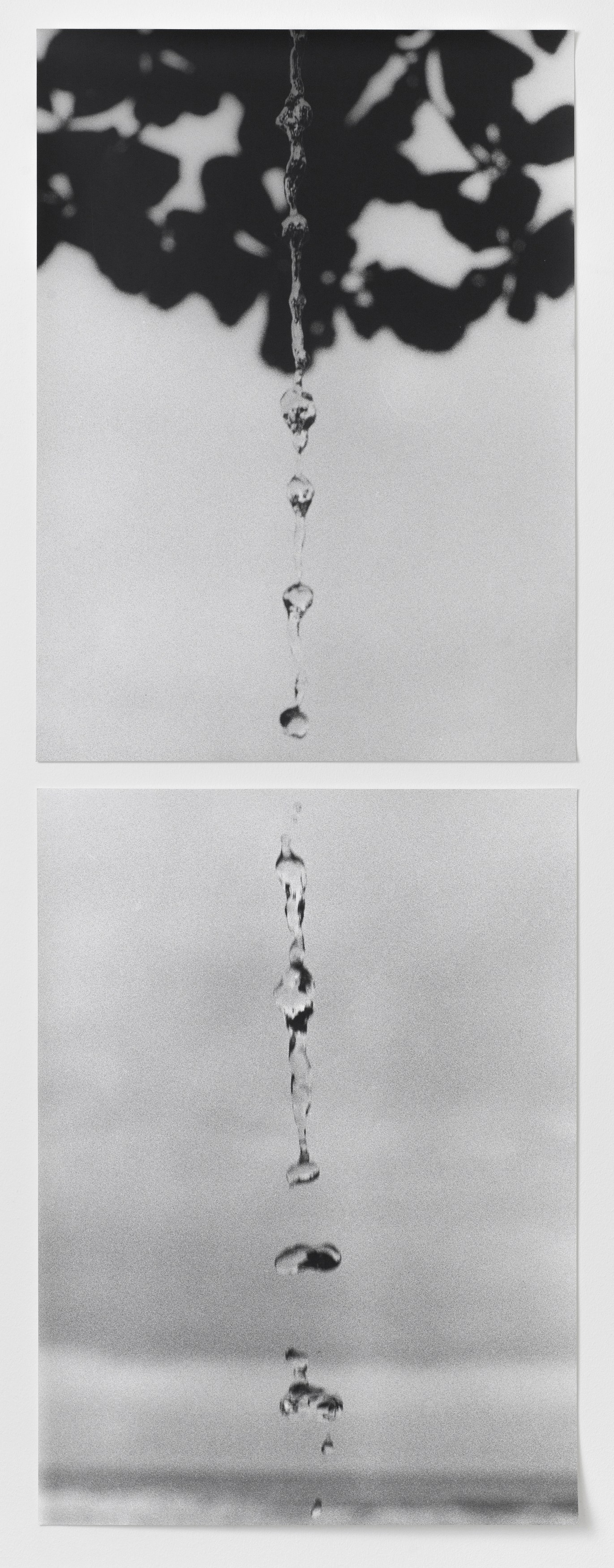 Jochen Lempert, Jochen Lempert at BQ, photo 8