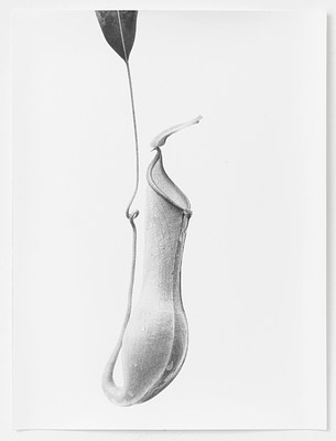 Image 9 of 10