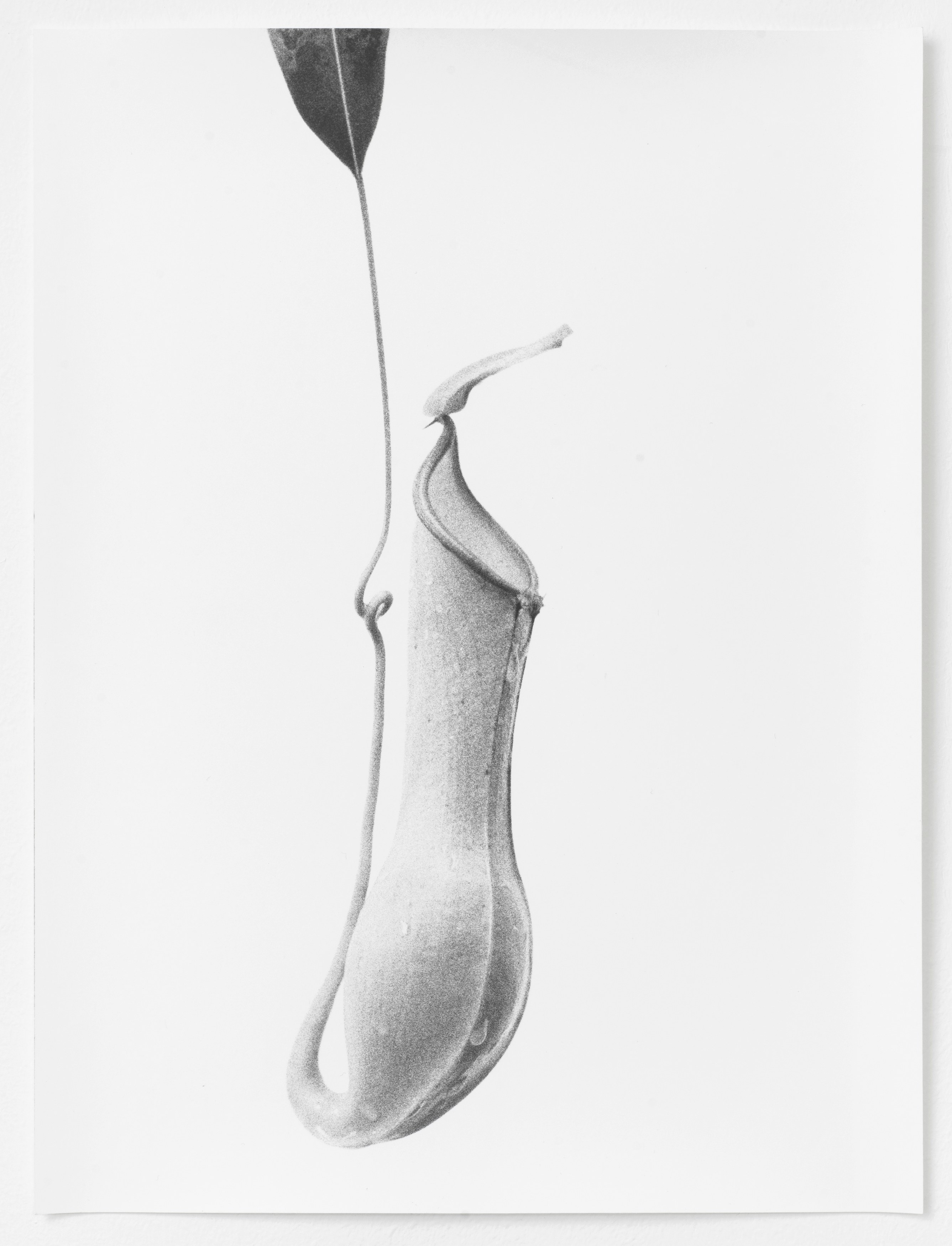Jochen Lempert, Jochen Lempert at BQ, photo 9