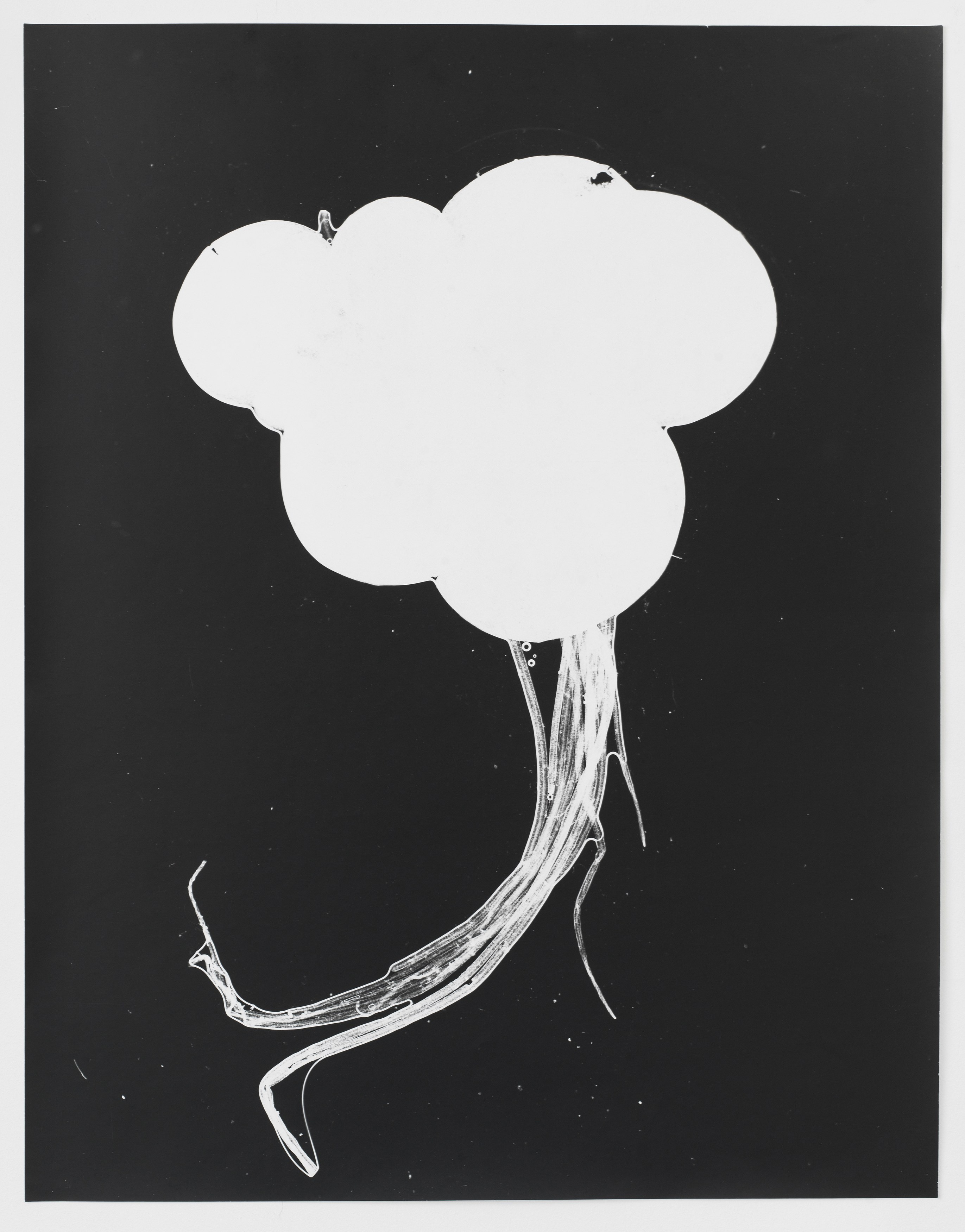 Jochen Lempert, Jochen Lempert at BQ, photo 10