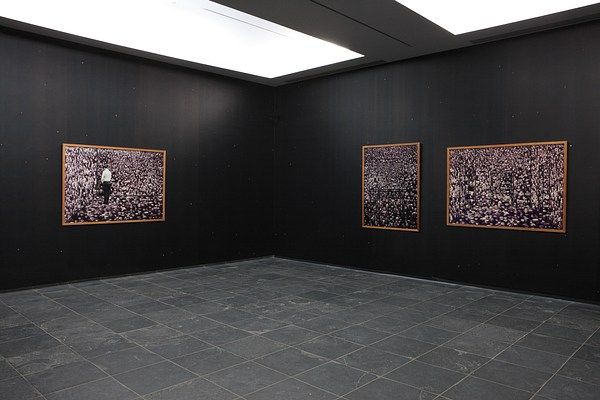 Image 6 of 14