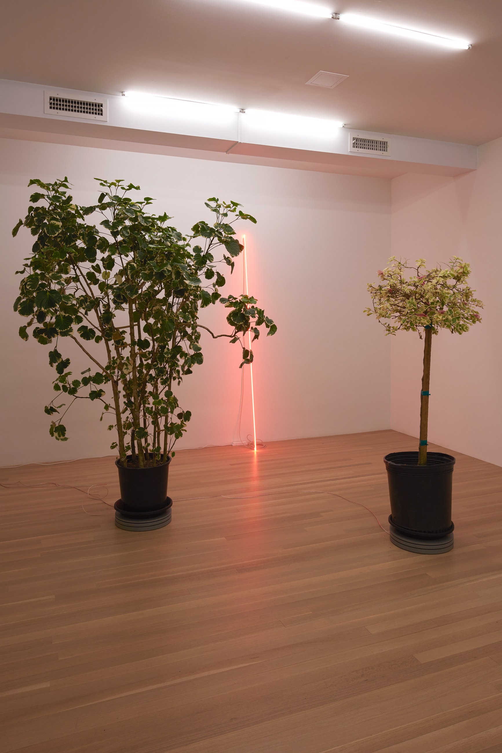 Cerith Wyn Evans, shade/frequency… at Galerie Buchholz, Berlin, photo 2