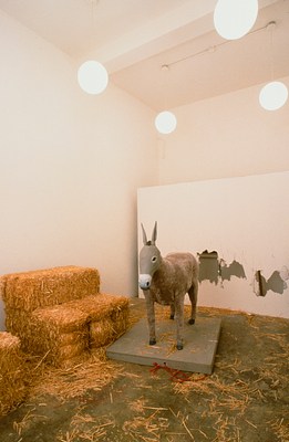 Image 1 of 17