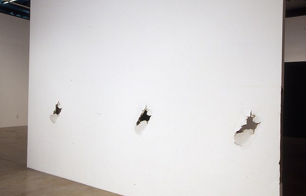Image 7 of 17