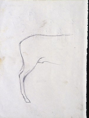 Image 16 of 17