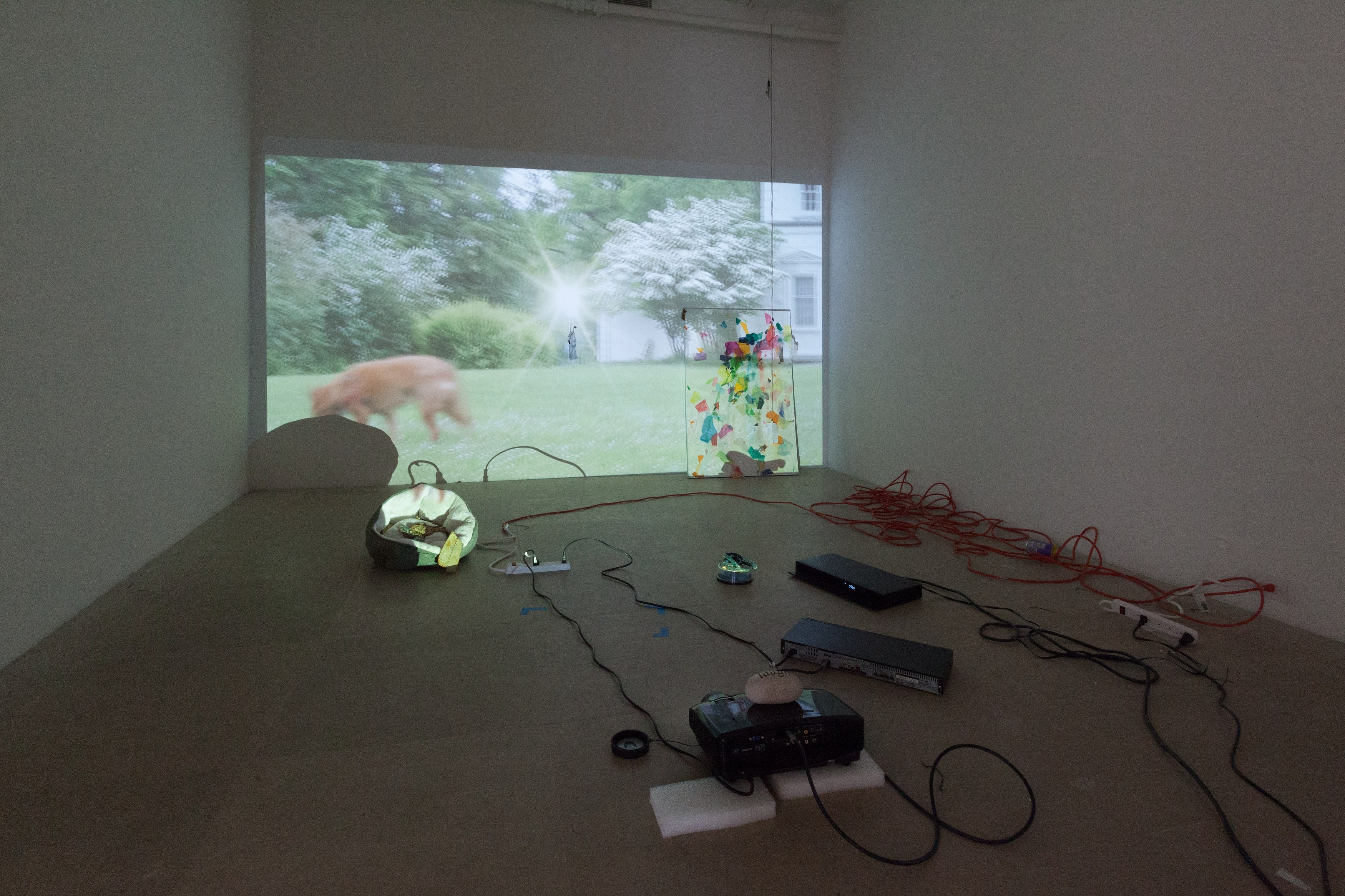 Freak Out, Freak Out at Greene Naftali, photo 6