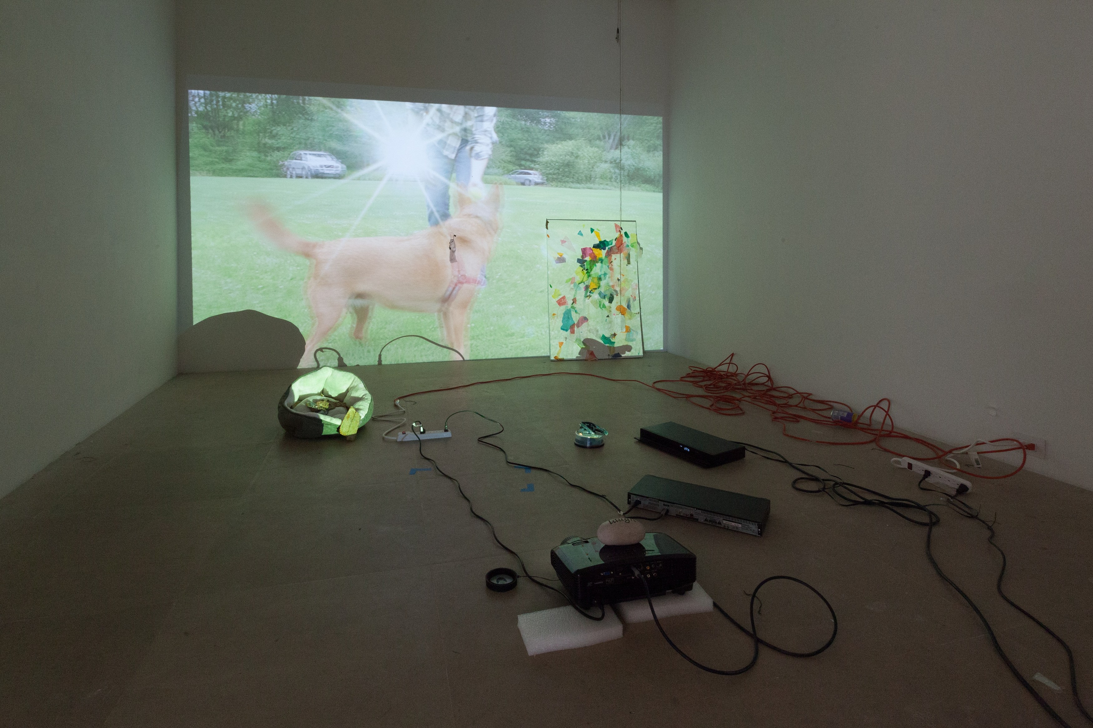 Freak Out, Freak Out at Greene Naftali, photo 7
