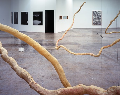 Image 3 of 6