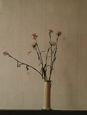 Image 19 of 34