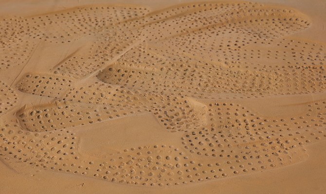 Image 25 of 64