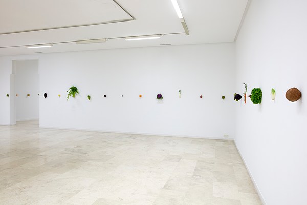 Image 2 of 8