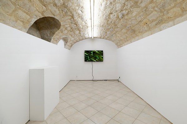 Image 10 of 11