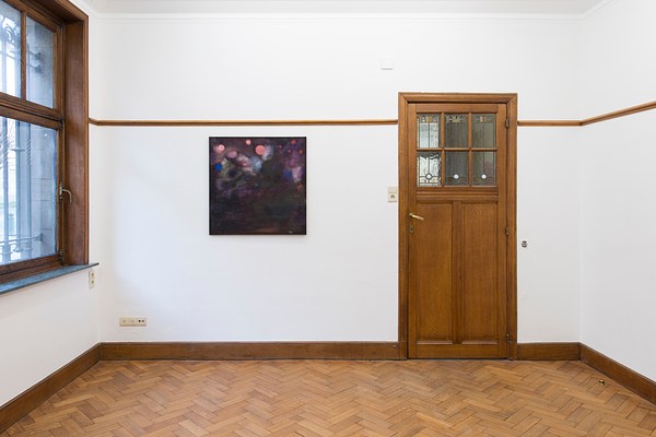Image 12 of 17