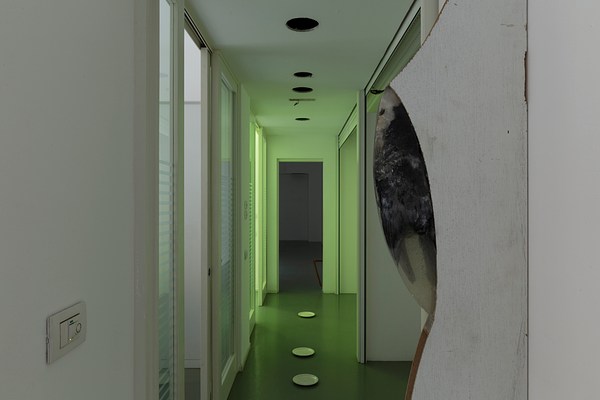 Image 7 of 22