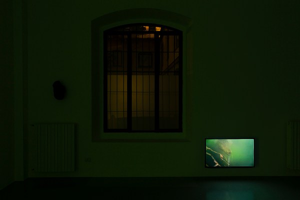 Image 15 of 22
