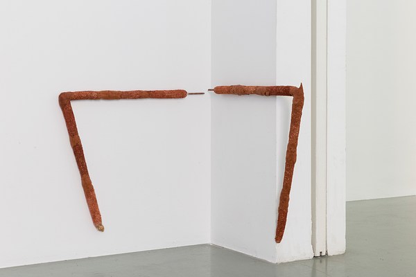 Image 21 of 22