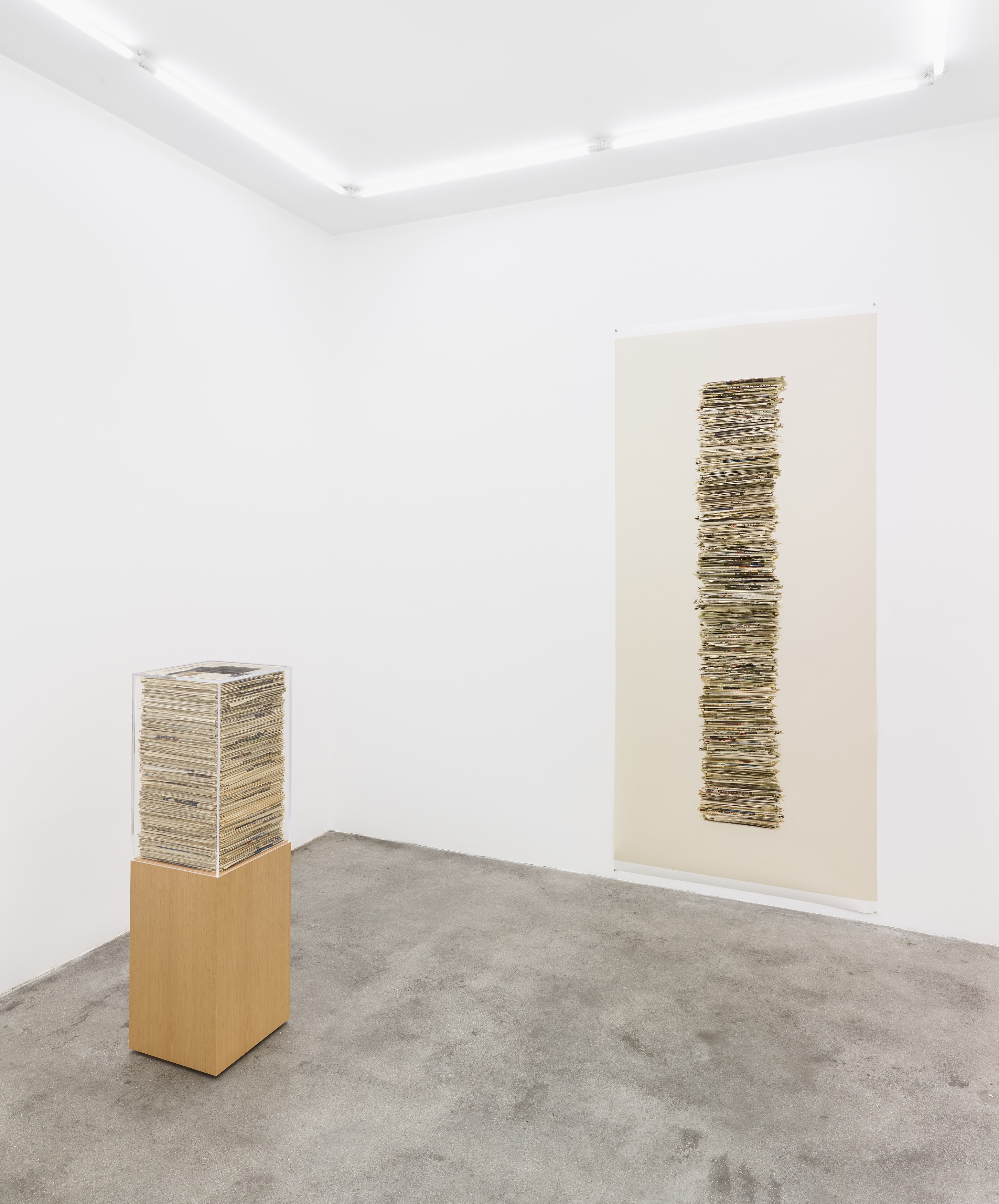 Jennifer Bolande, The Composition of Decomposition at Pio Pico, photo 8