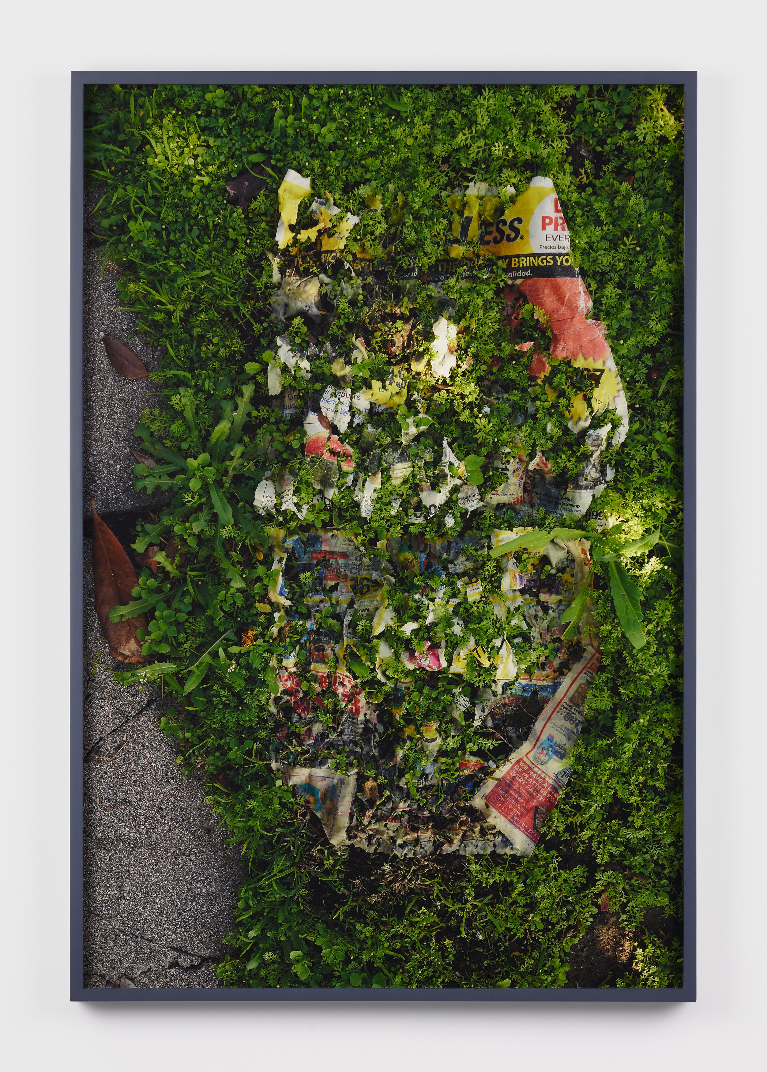 Jennifer Bolande, The Composition of Decomposition at Pio Pico, photo 16