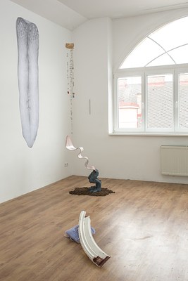 Image 5 of 48