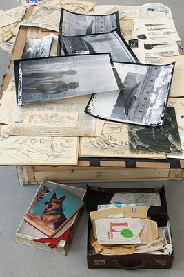 Image 20 of 29