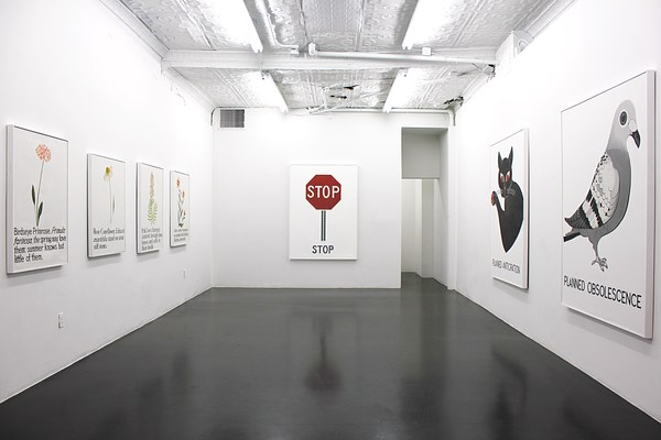Image 2 of 15