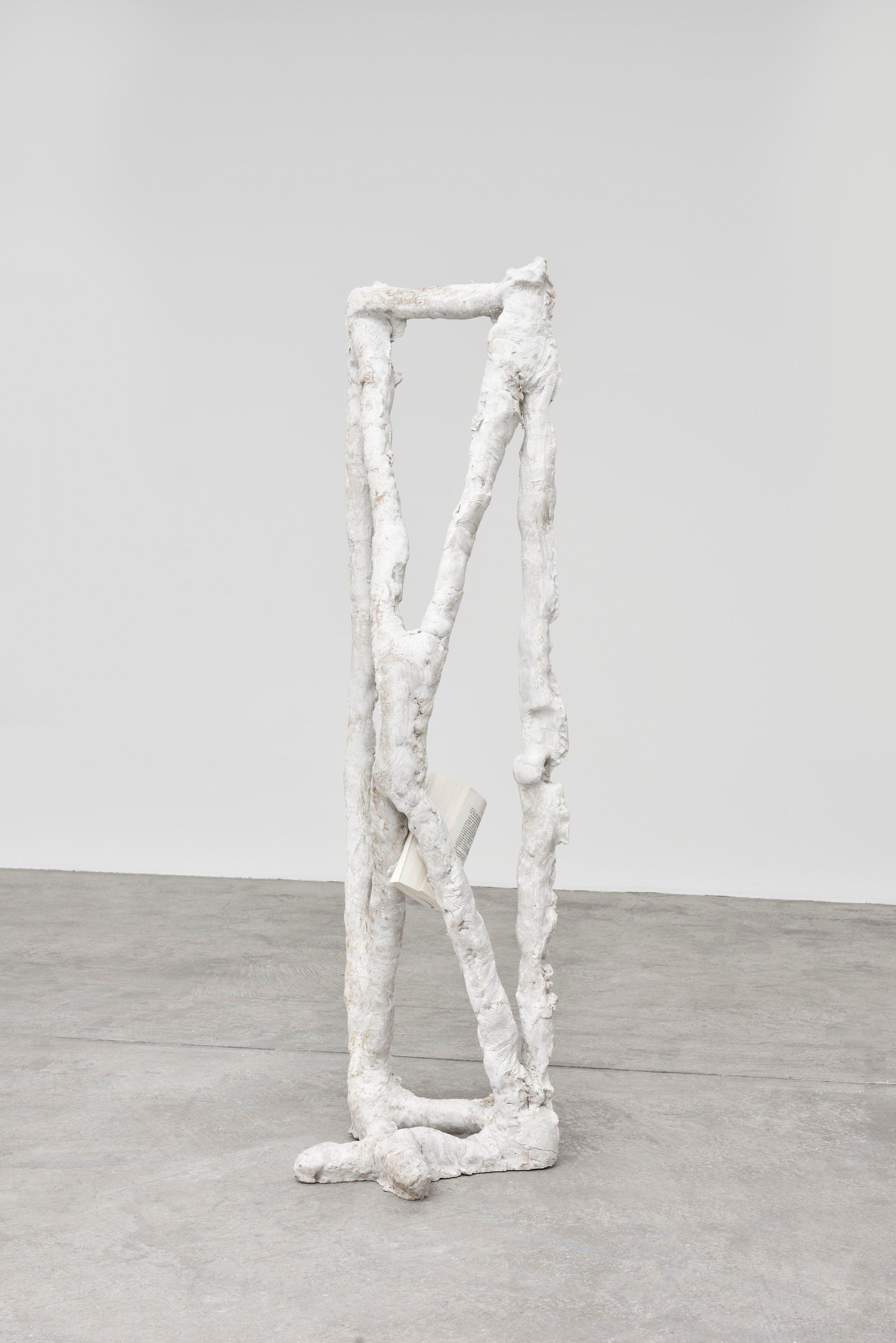Pure Fiction, Pure Fiction at Marian Goodman Gallery, photo 24
