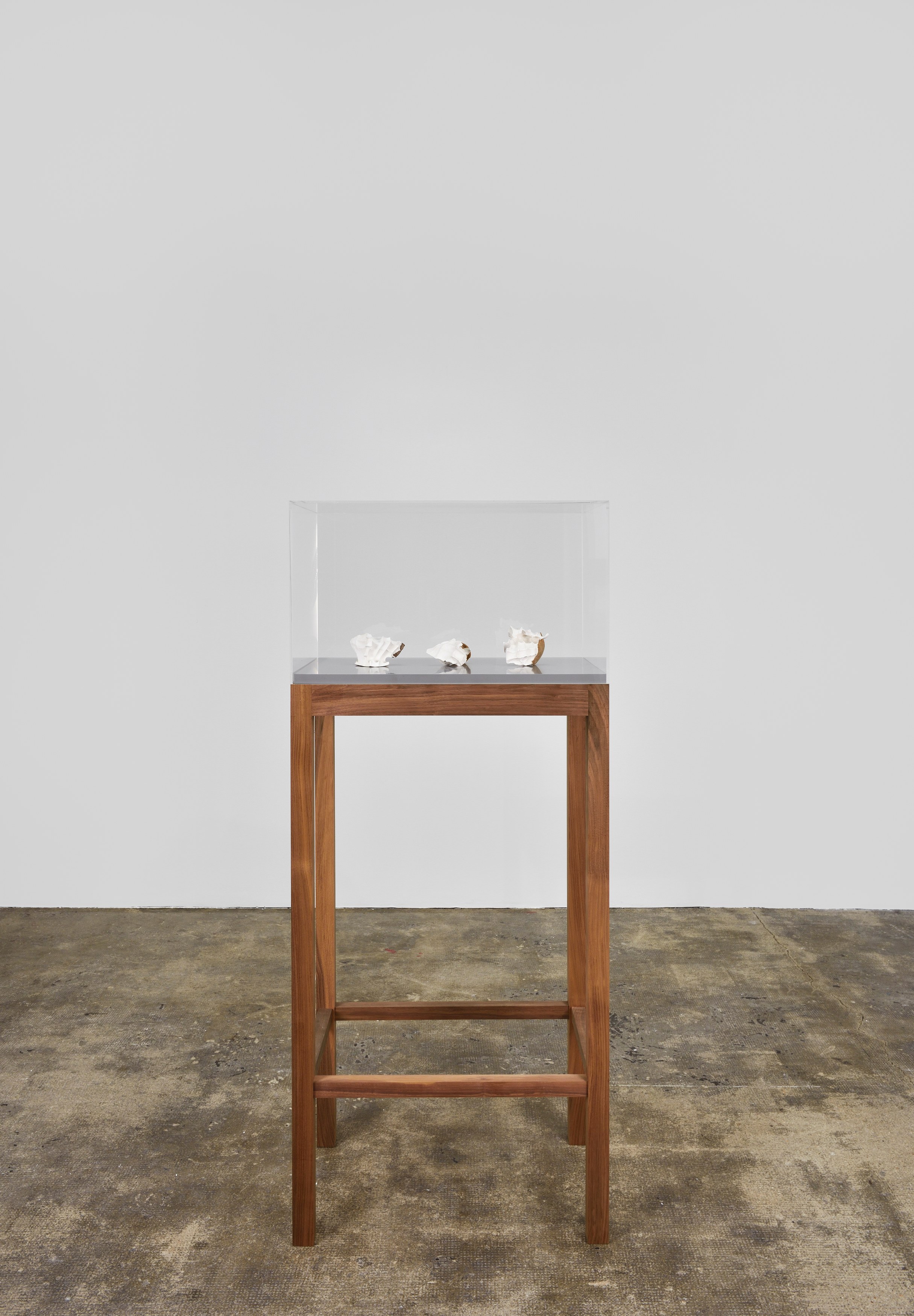Pure Fiction, Pure Fiction at Marian Goodman Gallery, photo 25