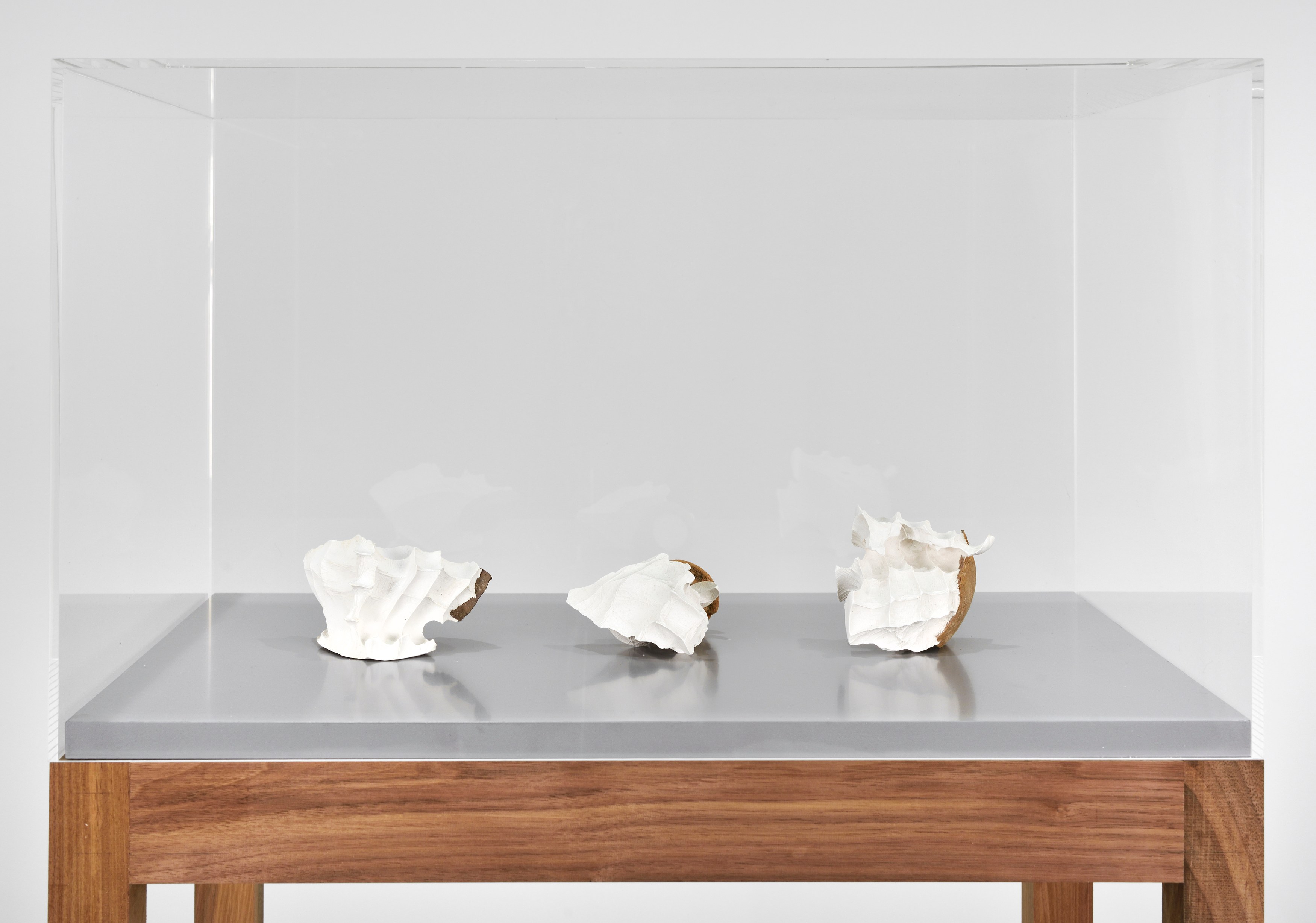 Pure Fiction, Pure Fiction at Marian Goodman Gallery, photo 44